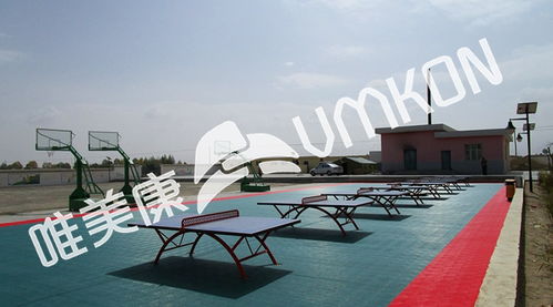 標準乒乓球場場地尺寸與戶外運動策劃指南