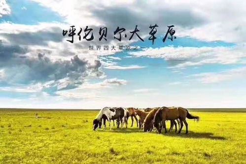 呼倫貝爾自由行自駕游全攻略 景點詳解與戶外運動策劃