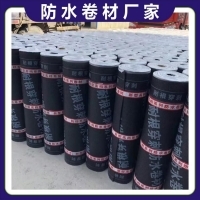 濕鋪防水卷材在車庫(kù)底板中的應(yīng)用與市場(chǎng)銷售策略分析